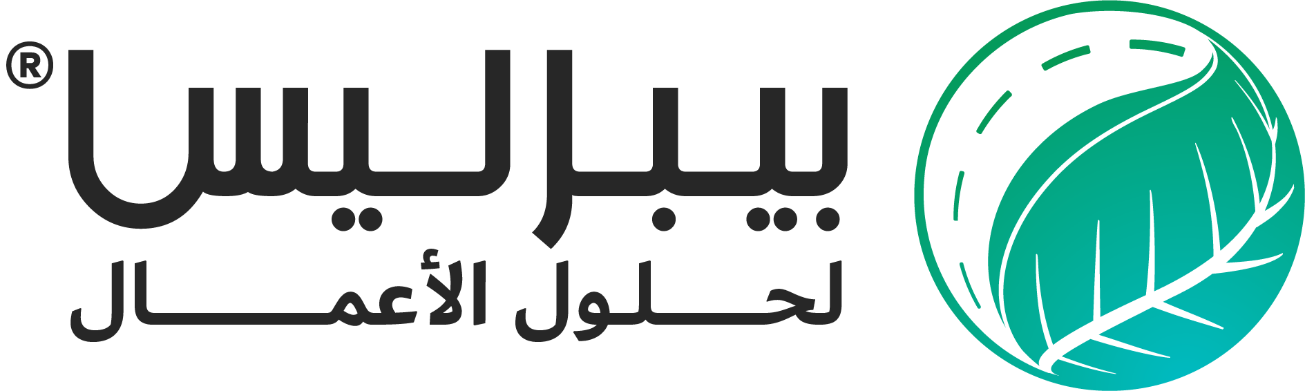 PAPERLESS BUSINESS SOLUTIONS